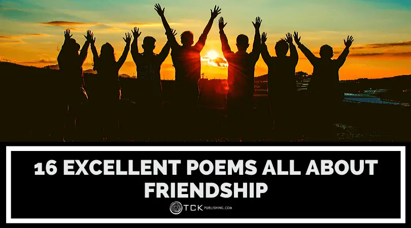 16首關於友誼以慶祝您的紐帶的詩