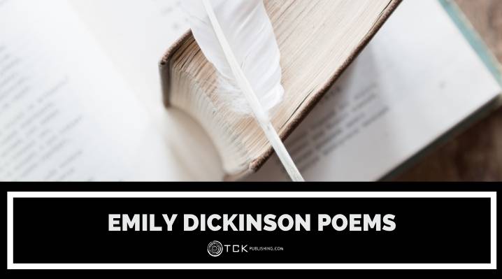 8個最佳艾米莉狄金森詩歌來反思