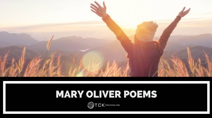 7瑪麗奧利弗詩歌會讓你欣賞自然
