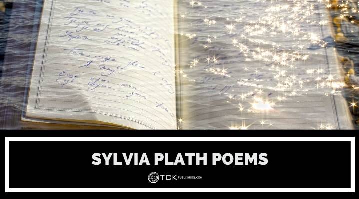 5個標誌性的Sylvia Plath Poems：一種痛苦的生命的遺產
