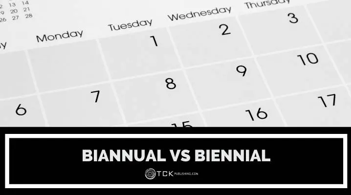 Biannual VS Biennial博客帖子圖像