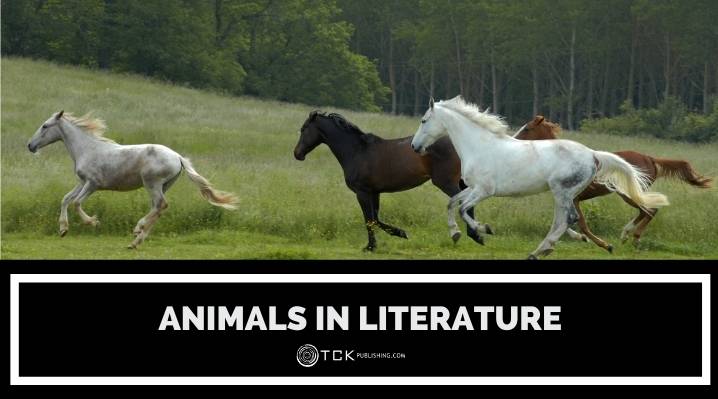 文學博客文章中的動物圖像